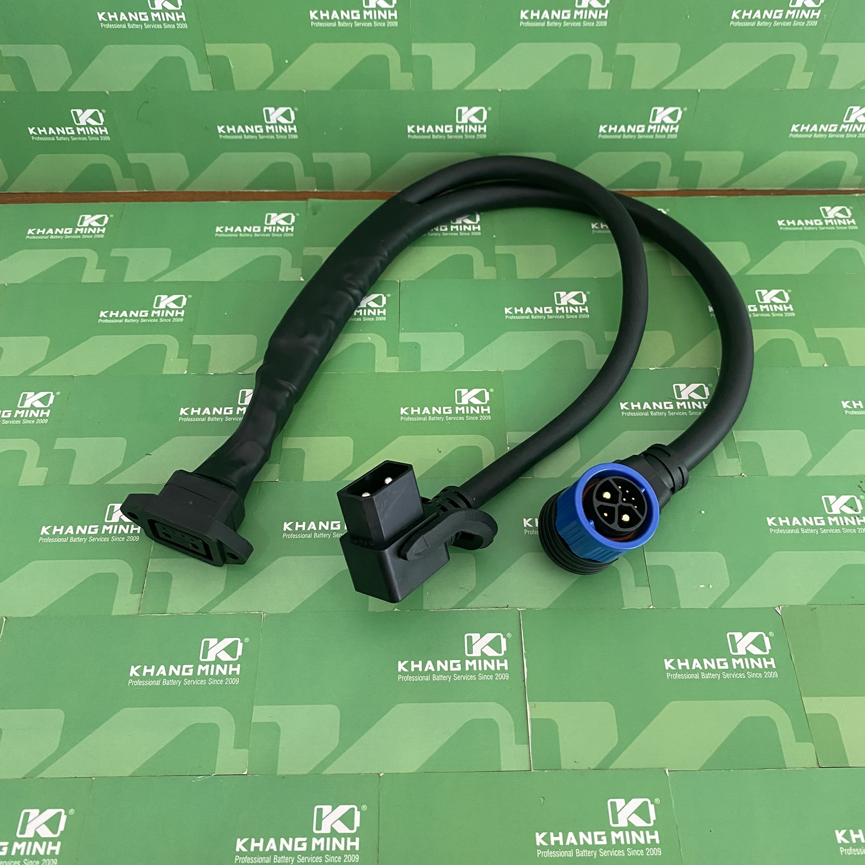 Sạc nhanh 1000W xe Evo Grand Feliz 2025 Vinfast VF